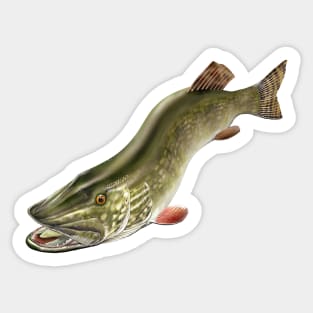 Northern Pike Fishing Art Illustration Sticker